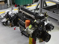 The FJ Company 1985 FJ73 0001841 White - Safari - Restoration